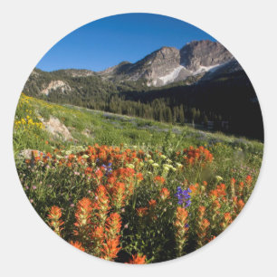 USA, Utah, Uinta-Wasatch-Cache Nationalforst Runder Aufkleber
