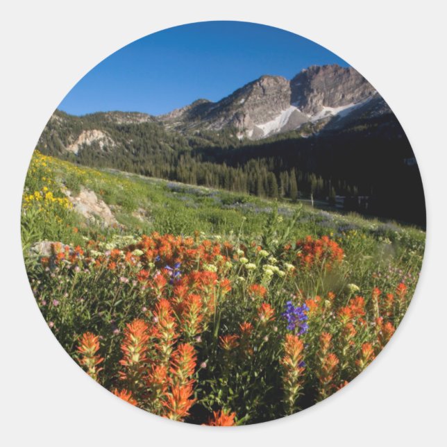 USA, Utah, Uinta-Wasatch-Cache, Nationalwald Runder Aufkleber (Vorderseite)
