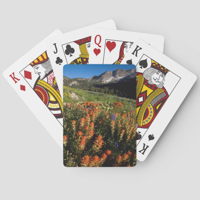 USA, Utah, Uinta-Wasatch-Cache-Nationalwald Spielkarten (Rückseite)