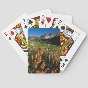 USA, Utah, Uinta-Wasatch-Pufferspeicher Spielkarten