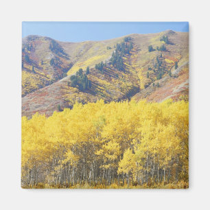 USA, Utah, Wasatch-Cache National Forest, Magnet