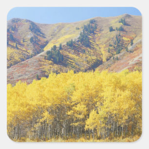 USA, Utah, Wasatch-Cache National Forest, Quadratischer Aufkleber