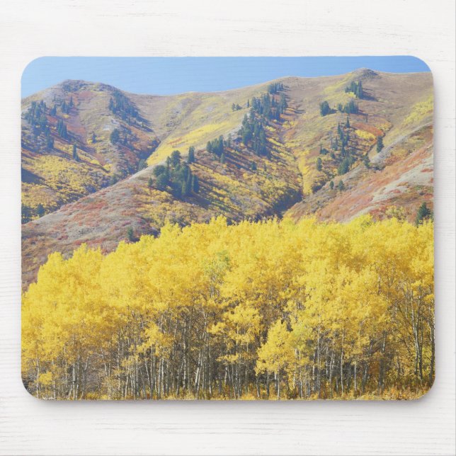 USA, Utah, Wasatch-Cache Nationalforst, Mousepad (Vorne)