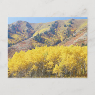 USA, Utah, Wasatch-Cache Nationalforst, Postkarte