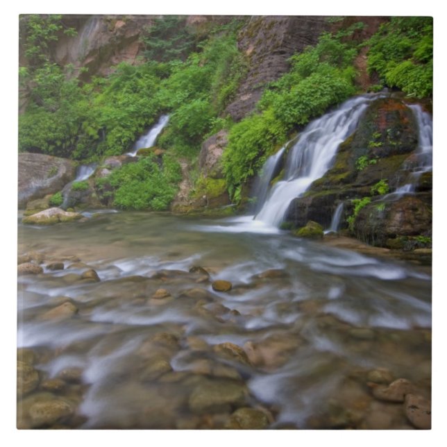 USA, Utah, Zion National Park.  Big Springs Fliese (Vorderseite)