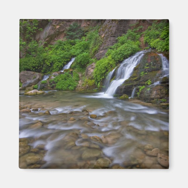 USA, Utah, Zion National Park. Big Springs in Magnet (Vorne)