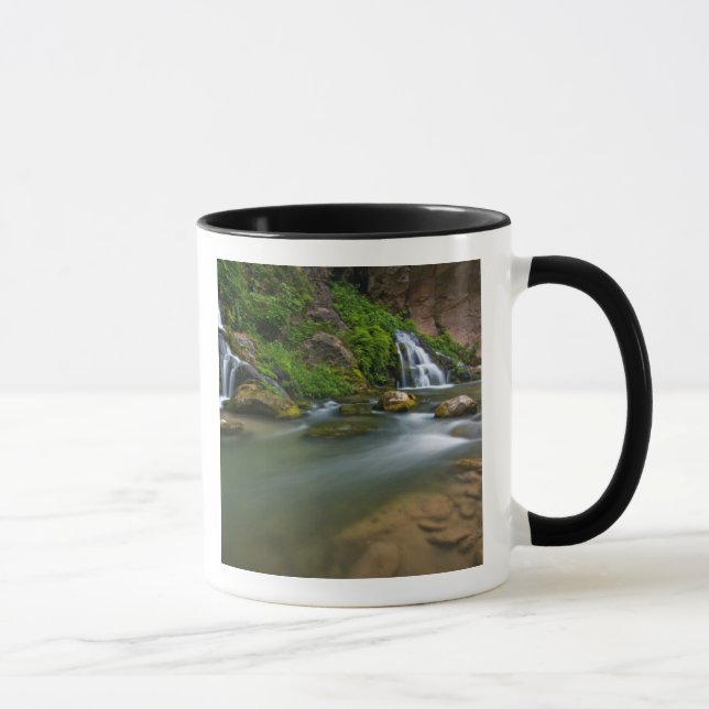 USA, Utah, Zion National Park. Die Jungfrau Tasse (Rechts)