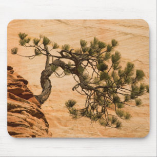 USA, Utah, Zion National Park. Kiefer Mousepad