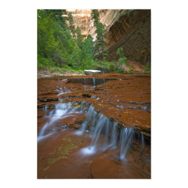 USA, Utah, Zion National Park. Landschaftlich ab 2 Fotodruck (Vorne)