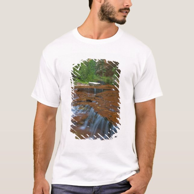 USA, Utah, Zion National Park. Landschaftlich aus T-Shirt (Vorderseite)