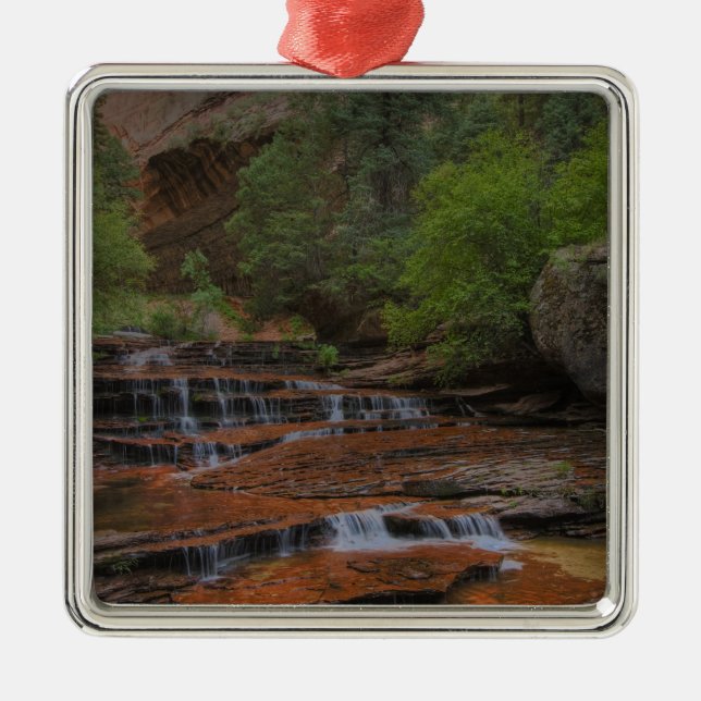 USA, Utah, Zion National Park.  Landschaftlich vom Silbernes Ornament (Vorne)