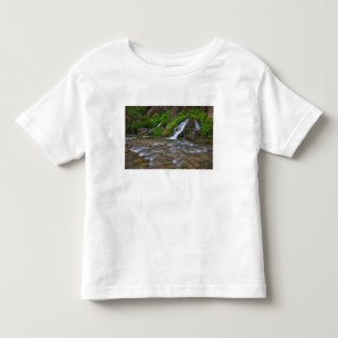 USA, Utah, Zion-Nationalpark. Big Springs in Kleinkind T-shirt