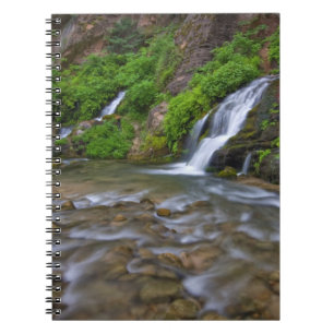 USA, Utah, Zion-Nationalpark. Big Springs in Notizblock