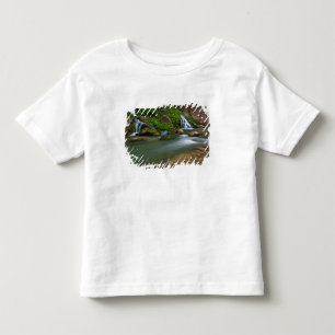 USA, Utah, Zion-Nationalpark. Der Virgin Kleinkind T-shirt
