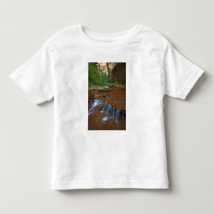 USA, Utah, Zion-Nationalpark. Landschaftlich Kleinkind T-shirt
