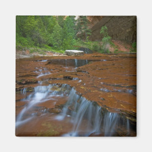 USA, Utah, Zion-Nationalpark. Landschaftlich Magnet