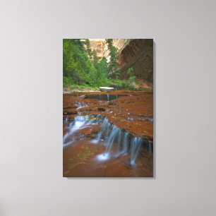 USA, Utah, Zion-Nationalpark. Landschaftlich von 2 Leinwanddruck