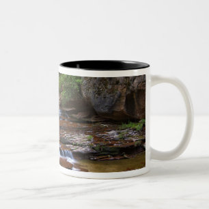 USA, Utah, Zion-Nationalpark. Landschaftlich von 4 Zweifarbige Tasse