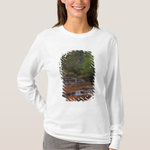 USA, Utah, Zion-Nationalpark.  Landschaftlich von  T-Shirt