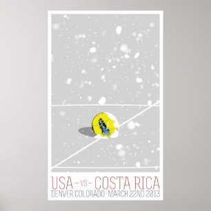 USA V Costa Rica Poster