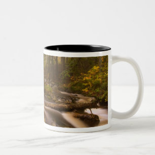 USA, Vermont, East Arlington, Fließende Bäche 2 Zweifarbige Tasse