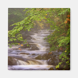 USA, Vermont, East Arlington, Fließende Bäche Magnet