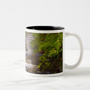 USA, Vermont, East Arlington, Fließende Bäche Zweifarbige Tasse