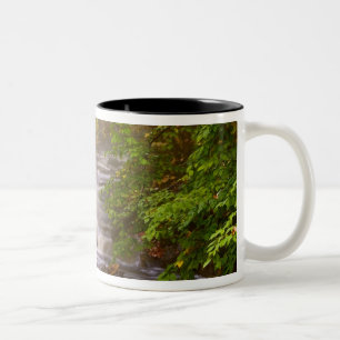 USA, Vermont, East Arlington, Fließende Bäche Zweifarbige Tasse