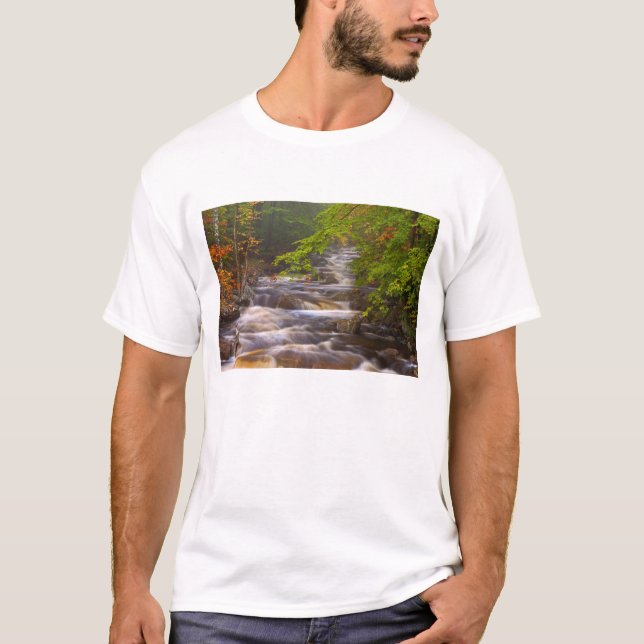 USA, Vermont, East Arlington, Wasserläufe T-Shirt (Vorderseite)
