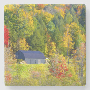 USA, Vermont. Herbstlaub entlang der Highway 100. Steinuntersetzer
