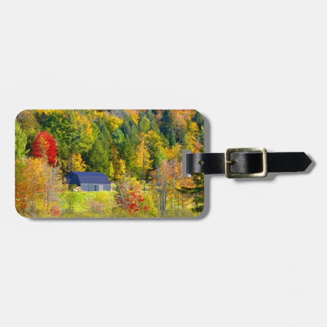 USA, Vermont. Herbstwald entlang der Autobahn 100. Gepäckanhänger (Vorderseite horizontal)