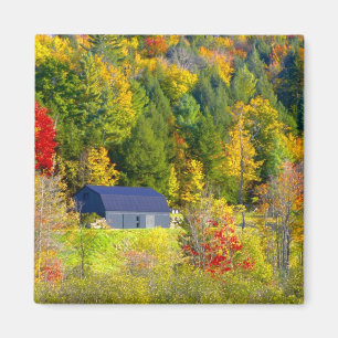 USA, Vermont. Herbstwald entlang der Autobahn 100. Magnet