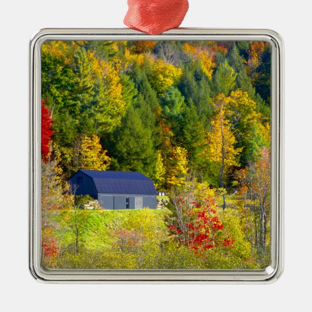 USA, Vermont. Herbstwald entlang der Autobahn 100. Silbernes Ornament (Vorne)