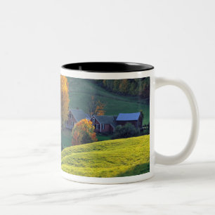 USA, Vermont, Jenne Bauernhof. Rollende grüne Zweifarbige Tasse