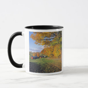 USA, Vermont, Jenne Farm. Der Herbst kommt nach Je Tasse