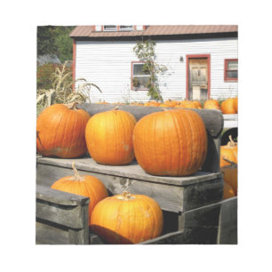 USA, Vermont. Kürbisse Notizblock