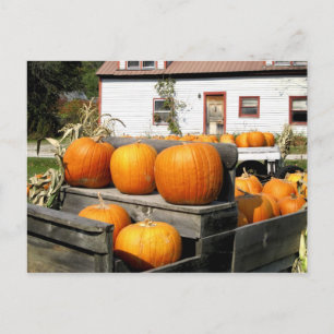 USA, Vermont. Kürbisse Postkarte