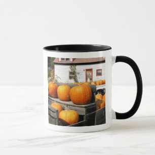 USA, Vermont. Kürbisse Tasse