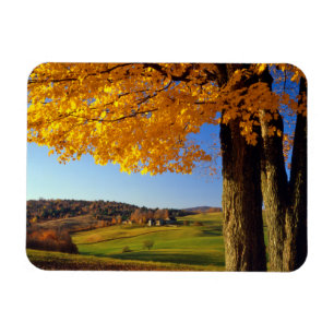USA, Vermont. Landschaften bei South Woodstock Magnet