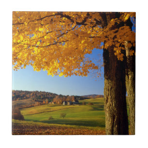 USA, Vermont. Landschaftlicher Bauernhof in der Nä Fliese