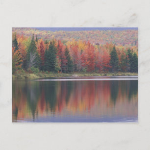 USA, Vermont, McAllister Lake, in der Nähe von Haz Postkarte