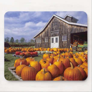 USA, Vermont, Shelbourne, Kürbise Mousepad