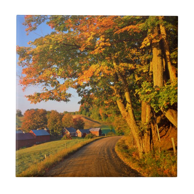 USA, Vermont, South Woodstock Fliese (Vorderseite)