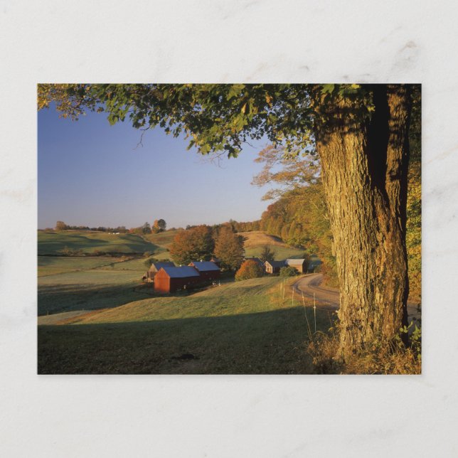 USA, Vermont, South Woodstock, Jenne Farm at Postkarte (Vorderseite)