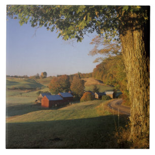 USA, Vermont, südlich von Woodstock, Jenne Farm be Fliese