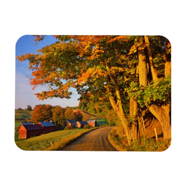 USA, Vermont, Südwaldstock Magnet (Horizontal)