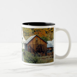 USA, Vermont, Waits River. Herbstlaub fügt hinzu Zweifarbige Tasse