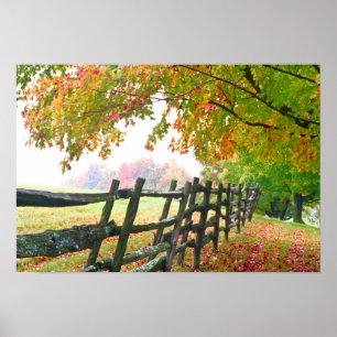 USA, Vermont. Zaun unter Herbstlaub. Poster