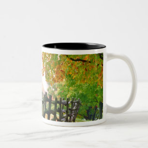 USA, Vermont. Zaun unter Herbstlaub. Zweifarbige Tasse