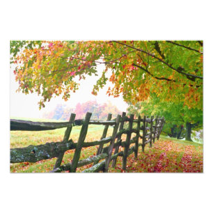 USA, Vermont. Zaun unter Laub. Fotodruck